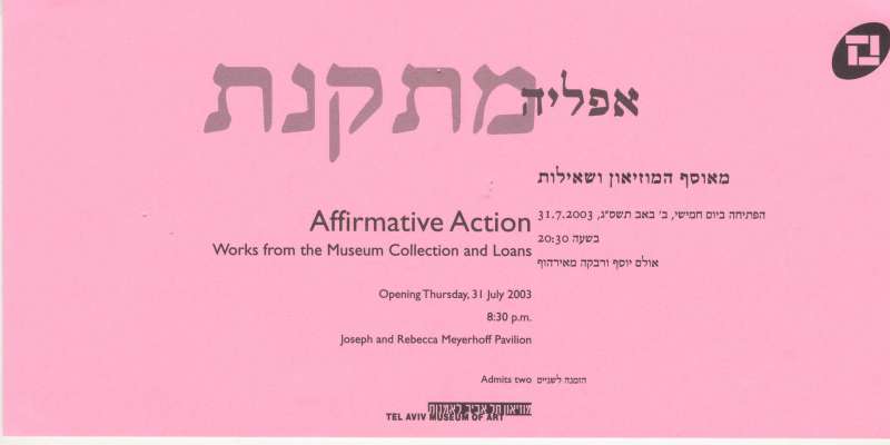 Affirmative Action - Works from the Museum Collection and Loans